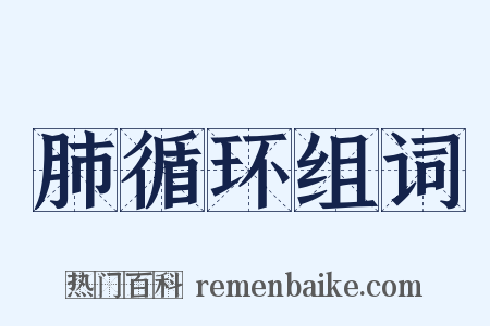 肺循环组词是什么意思的图片